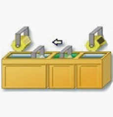 ����̎��